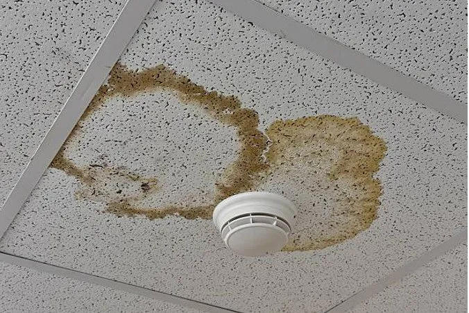 A ceiling with water stains revealed in commercial roof inspections