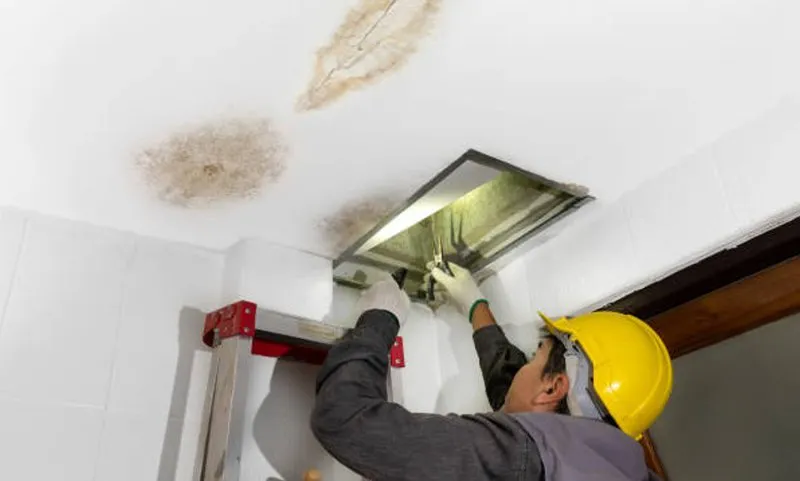 a worker fixing a damaged ceiling. roof leaks